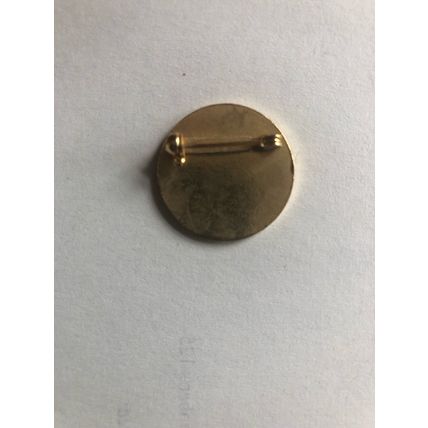 Swindon county ground bowling club bowling bowls badge