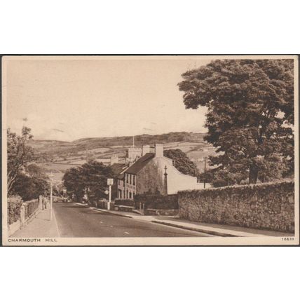 Charmouth Hill, Dorset, 1942 - Salmon Postcard