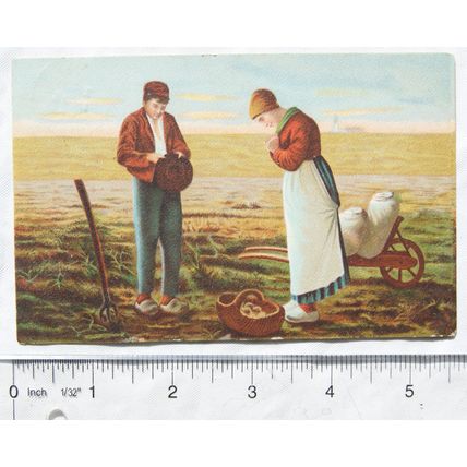 1904 postcard Dutch Farmers