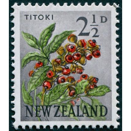 New Zealand 1961 2½d Titoki SG784 CTO