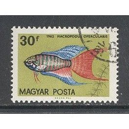 Hungary.SG1797 30fi Paradise Fish.Fine Used.Jan15