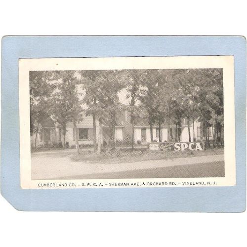 New Jersey Vineland Cumberland Co S P C A Sherman Ave & Orchard Rd Photo T~3658