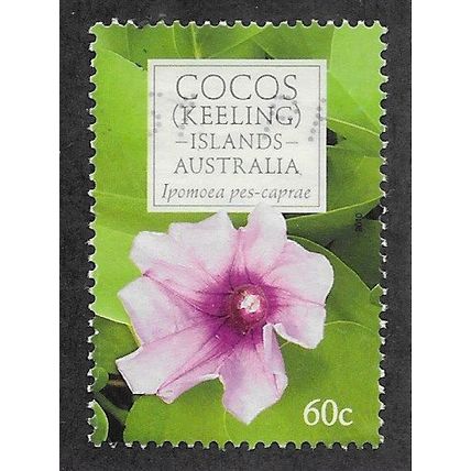 CKI 2010 60c 'FLOWERS' FINE USED (EBID71-054)
