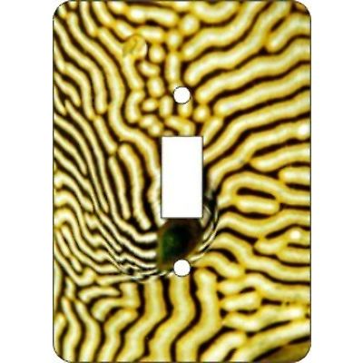 Puffer Fish Switch Plate Cover (African American Single Switch Plate)