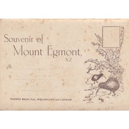Souvenir Of Mount Egmont New Zealand Antique Folding Postcard Book