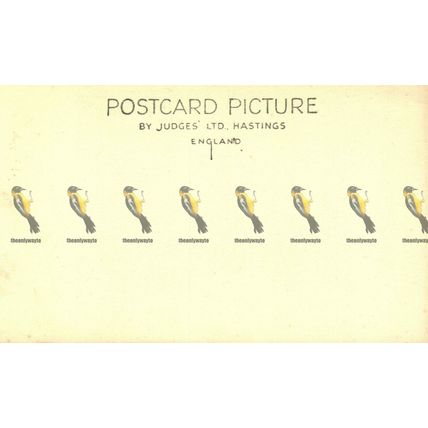 St Michael's Mount, Penzance, Cornwall, 8019 Judges Postcard, 1930s