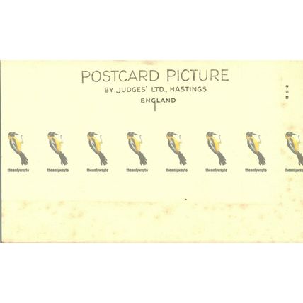 Dedham Bridge, Essex, 10742 Judges Postcard