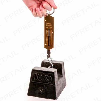 25KG BALANCE SCALES Spring Pocket Weight Checker Hanging Hook For Postal Bags
