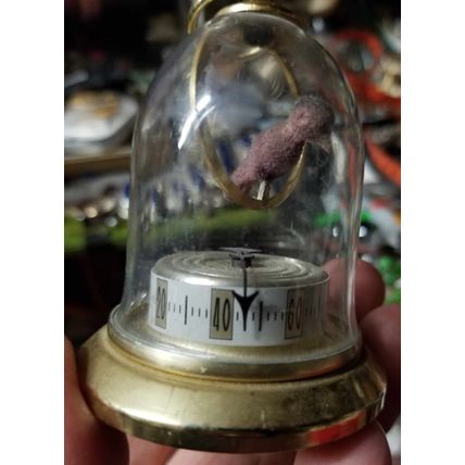 Rare Bird In Clear Domed Cage Thermometer Circa 1920's France Authentic Antique