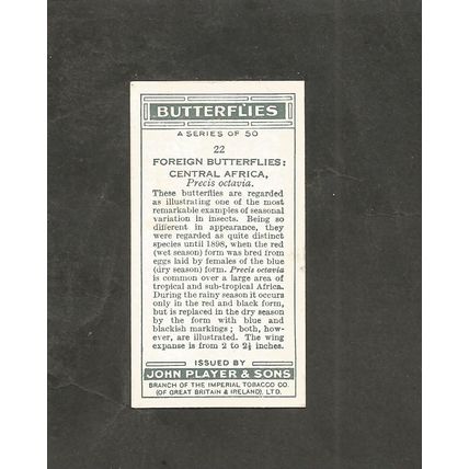 Cigarette Card Players Butterflies 1932 #22 Precis Octavia