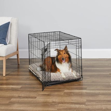 Midwest Homes for Pets Newly Enhanced Single & Double Door Icrate Dog Crate, Inc