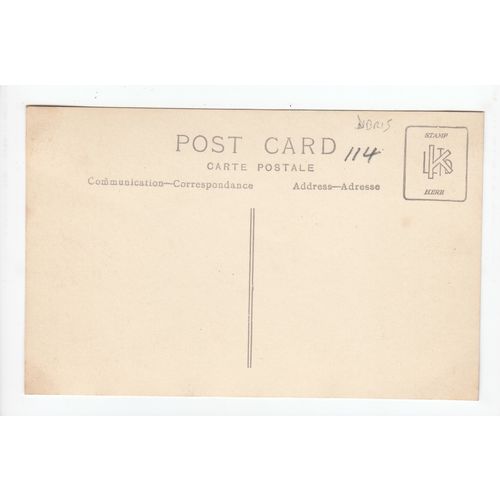 Family Group RP Postcard DBR15