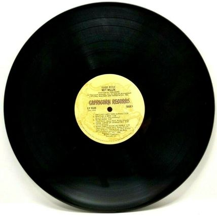 Wet Willie ‎– Dixie Rock LP Vinyl Record Blues Rock Original 1975 (P1)