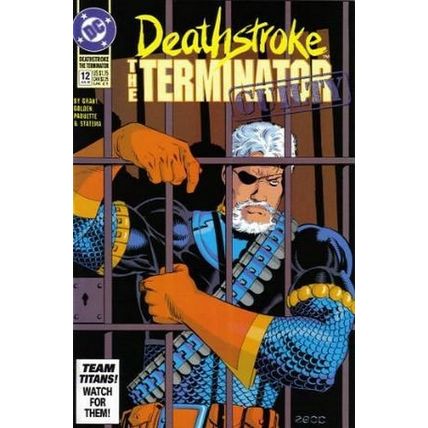 Deathstroke (Vol 1) The Terminator # 012 NM MODERN AGE COMICS