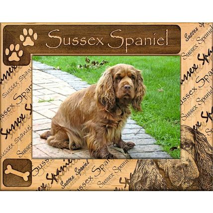 Sussex Spaniel Laser Engraved Wood Picture Frame (5 x 7)