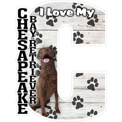 I Love My Chesapeake Bay Retriever Fridge Magnet