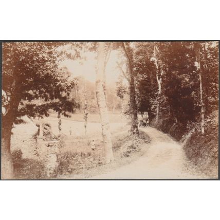 A Country Lane, Jersey, c.1910 - Photochrom RP Postcard