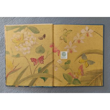 LE PAPILLION DE BOUN de SAATOMI ICHIKAWA FRENCH LANGUAGE PICTURE BOOK