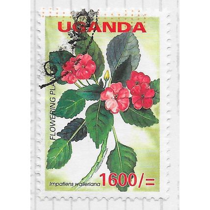 UGANDA 2005 FLOWERING PLANTS BUSY LIZZIE Impatiens walleriana 1600/- USED..
