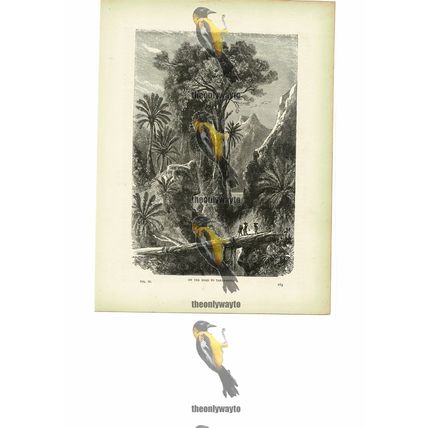 On The Road To Tananarivo, Madagascar, Book Illustration, c1880