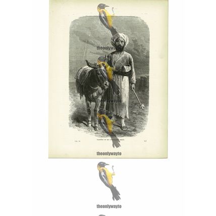 Vambery In His Travelling Dress, Iran, Book Illustration (Print), c1880