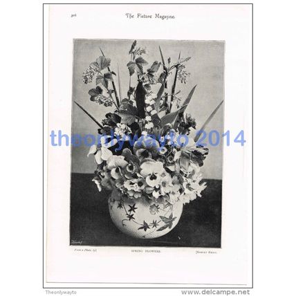 SPRING FLOWERS, ROBERT FROST, LOUGHBOROUGH, PHOTO BOOK ILLUSTRATION, 1895