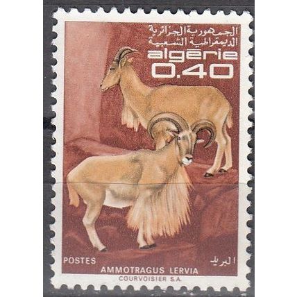 Algérie 1968 Michel 510 O Cote (2005) 0.50 Euro Mouflon à manchettes