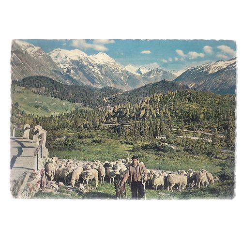 SAN BERNARDINO used postcard. 1970 postmark =