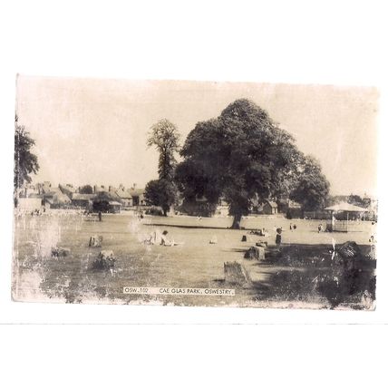 CAE GLAS PARK, OSWESTRY, SHROPSHIRE. unused antique postcard by F Frith (a) /