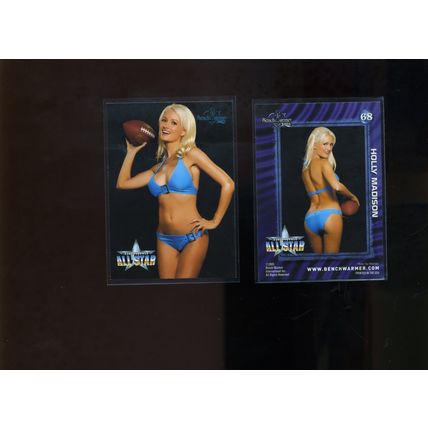 HOLLY MADISON 2005 BENCH WARMER VERY SEXY & HOT Trading Card #68 NM