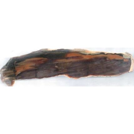 Petrified Wood 21 Natural Gemstone Slab Lapidary Cabbing Rough