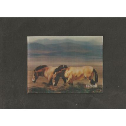 Trade card Shell Oil 1975 WWF Animal Card # 16 Przewalskis Horse