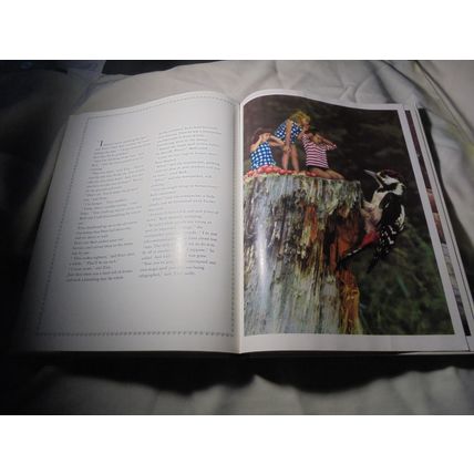 1966 British HC! The ENCHANTED FOREST! Classic Kids Book! Read!! $30.00!!