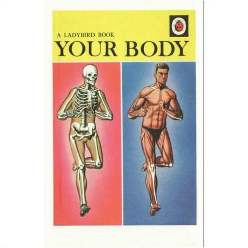 Postcard Your Body Ladybird Book Cover 1967 Nature Robert Ayton Skeleton
