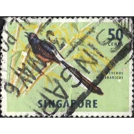 SINGAPORE, BIRD, White-rumped shama, green 1963, 50c