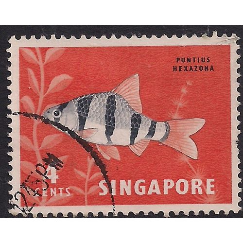 Singapore 1962 - 66 QE2 4ct Tiger Barb SG 65 ( J1448 )