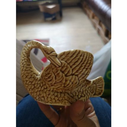 Brown Swan