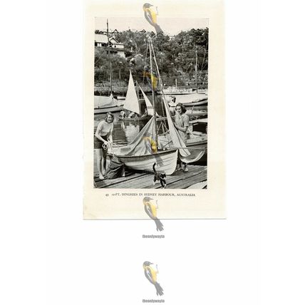 Dinghies (12 ft) Sydney Harbour, Australia, Book Illustration (Print), c1937