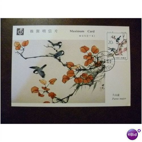 China 1982 Birds Great Tit 20f stamp maxi card FDI Tian Shiguang Art