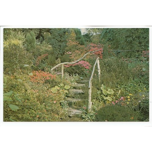 Part of the Water Garden at Newburgh Priory Coxwold North Yorkshire Postcard
