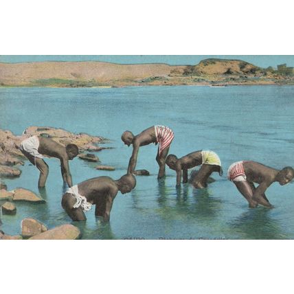 Cairo Crocodile Catchers Antique Egyptian Postcard