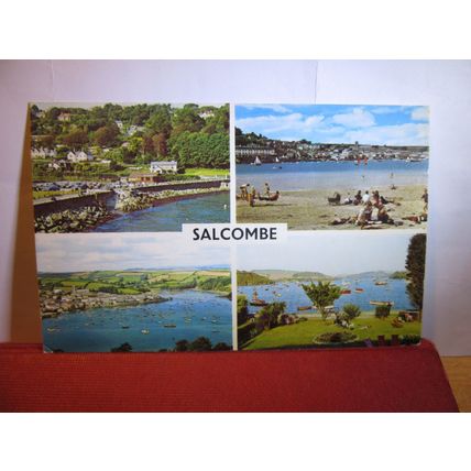 multiview, SALCOMBE , Devon. unused postcard =