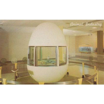Space Age Futuristic Bird Chick Giant Egg Exhibit Old Postcard