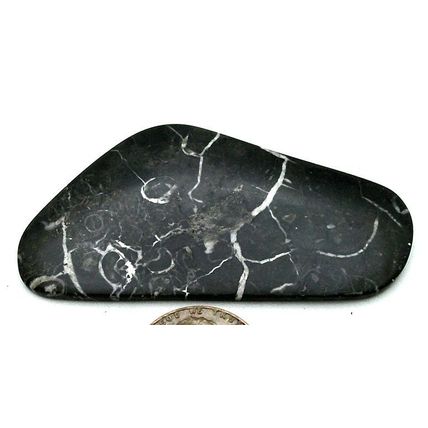 Black Septarian Freeform Gemstone Cabochon 466