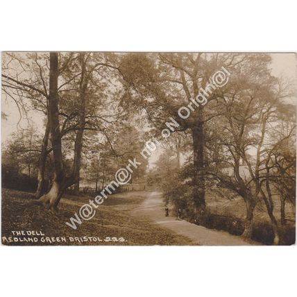 RP The Dell Redland Green Bristol Gloucestershire 1915