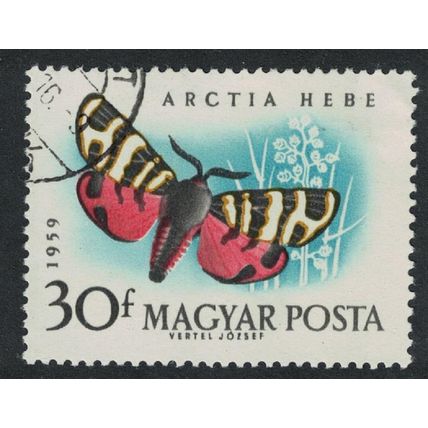 Hungary Hebe tiger moth 30fi 1959 Canc SG#1613
