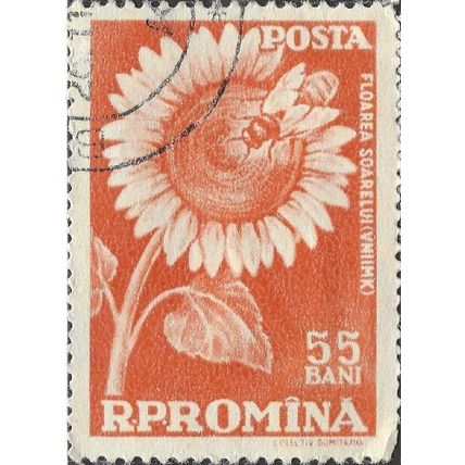 ROMANIA, Agricultural organization, Sunflower, reddish brown 1959, 55bani