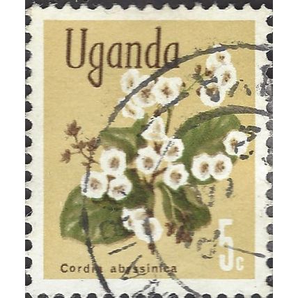 UGANDA, FLOWER, East African cordia, Cordia abyssinica, dull yellow 1969, 5c