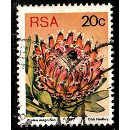 South Africa RSA 1977 Flowers Protea 20c Used Stamp.