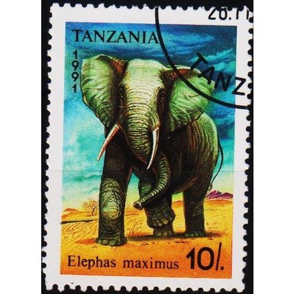 Tanzania. 1991 10s S.G.1074 Used